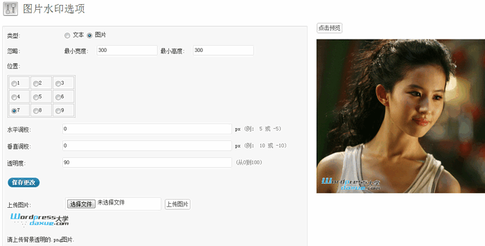 WordPress图片加文字/图片水印插件：DX Watermark WordPress基础教程 wordpress教程 第2张
