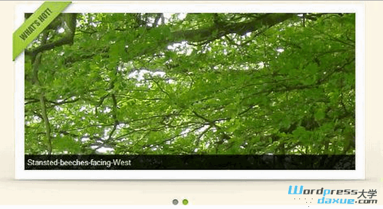 10+超棒的 WordPress 图像滑块/幻灯片插件 WordPress基础教程 wordpress教程 第3张