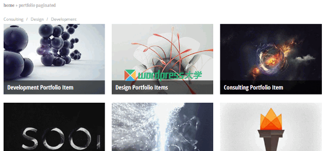 WordPress 添加作品集（Portfolio）自定义文章类型 WordPress基础教程 wordpress教程 第2张