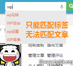 WordPress 搜索下拉关键词提示 WordPress基础教程 wordpress教程 第2张