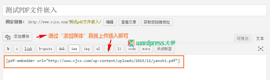 WordPress 使用 PDF Embedder 直接嵌入显示PDF文件 WordPress基础教程 wordpress教程 第2张