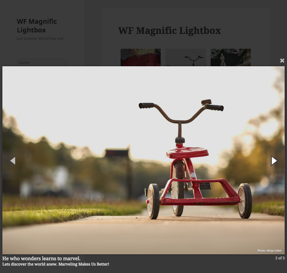 WordPress 响应式图片灯箱插件 WF Magnific Lightbox WordPress基础教程 wordpress教程 第1张