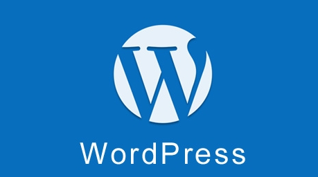 WordPress 使用 WP Local Dev Environment 插件禁用外部数据请求 WordPress网站维护 wordpress教程 第1张