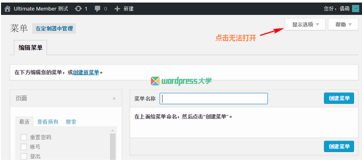 修复 WordPress 简体中文版的菜单“显示选项”无法点击 WordPress网站维护 wordpress教程 第1张
