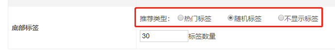 网站底部可以切换热门标签和随机标签 网络项目推广单页网站模板 第1张